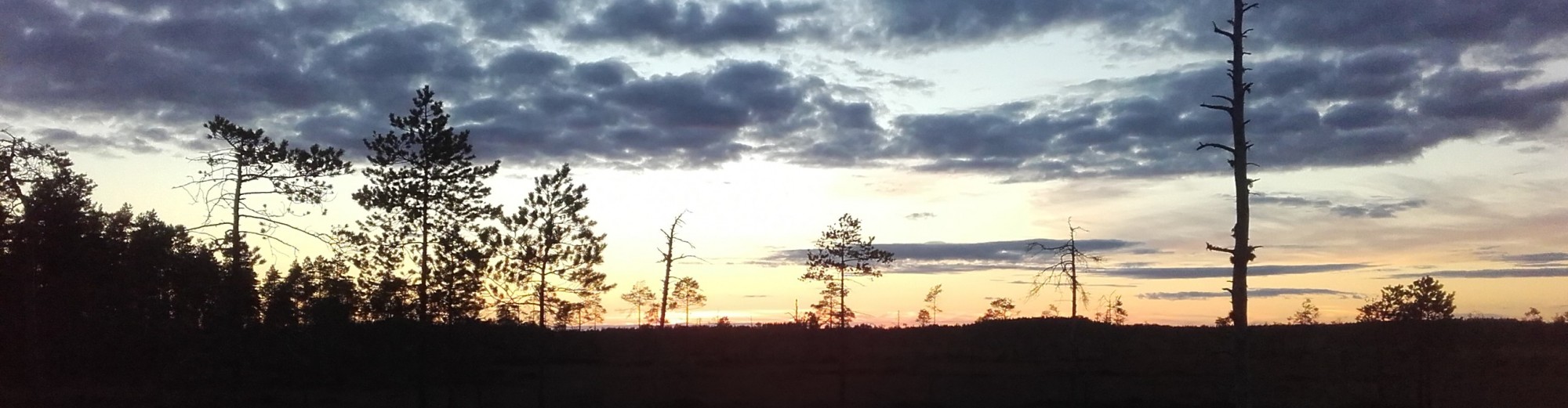 Vetelin Erä Ry