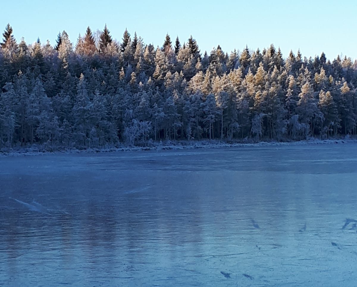 Vetelin Erä Ry