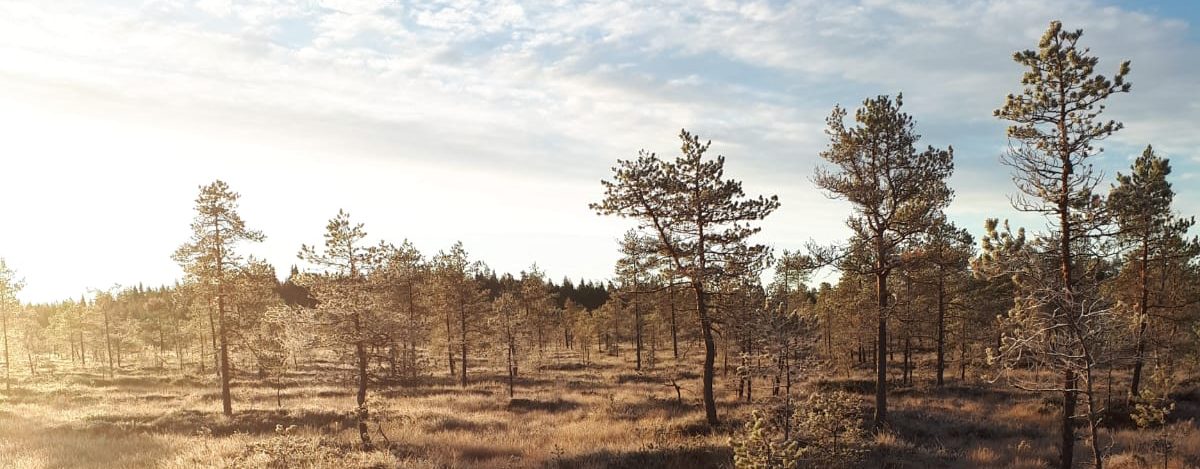Vetelin Erä Ry