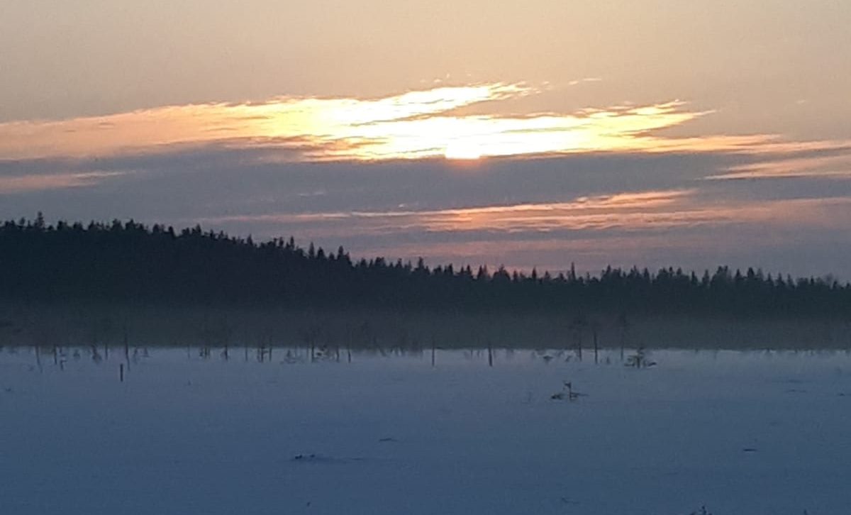 Vetelin Erä Ry