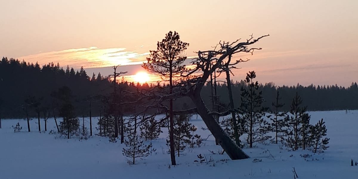 Vetelin Erä Ry