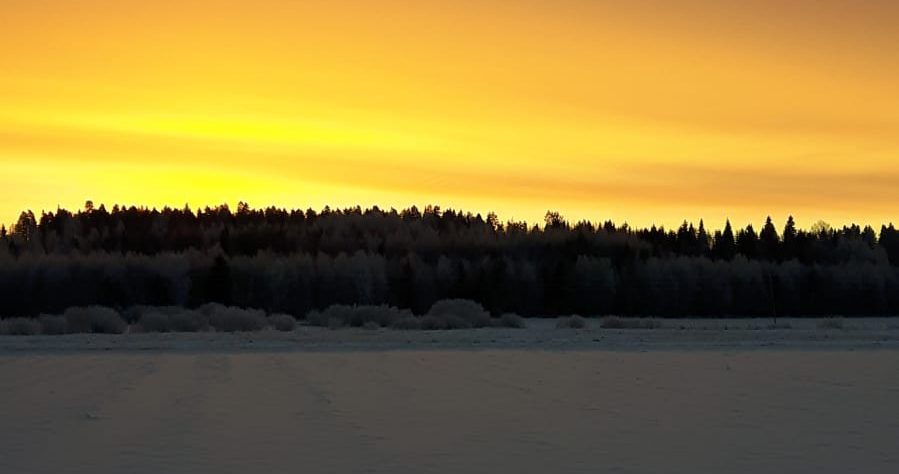 Vetelin Erä Ry